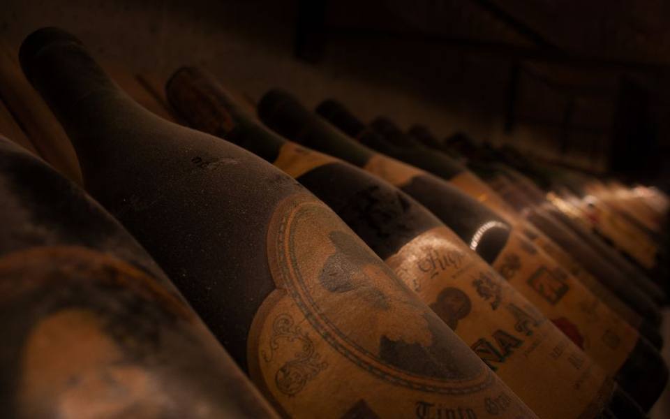 Storage Guidelines, Oxidation Management, and Shelf Life