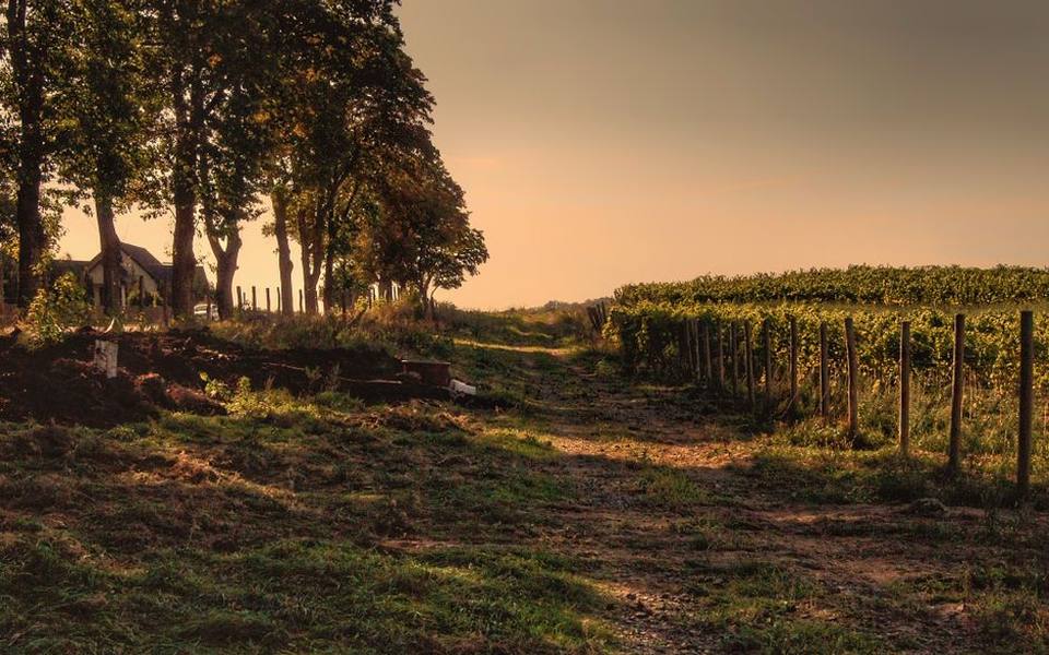 Planning Logistics for an Agritourism Outing
