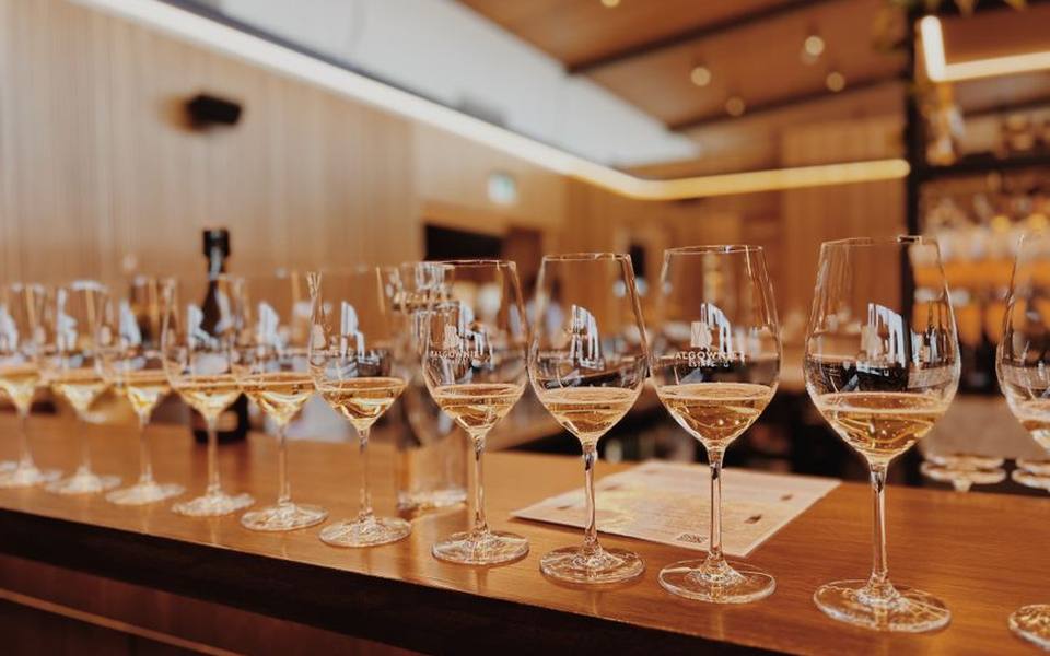 Regional Spotlight: Touring the Renowned Willamette Valley