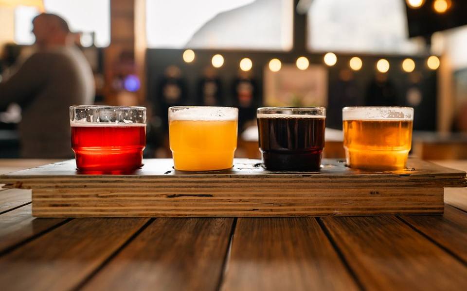 Navigating Tastings for Body and Tannin