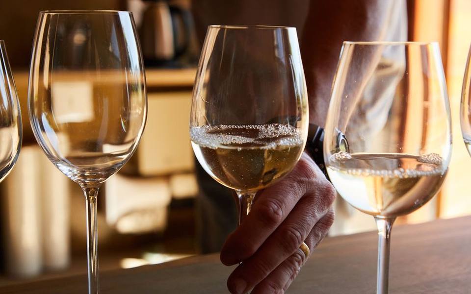 Crisp and Unoaked Sauvignon Blanc Profiles