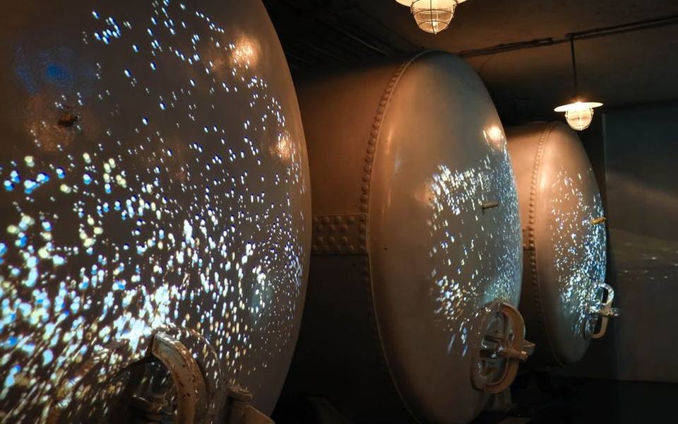 The Living Workers and Whether Yeast Remains in Your Bottle